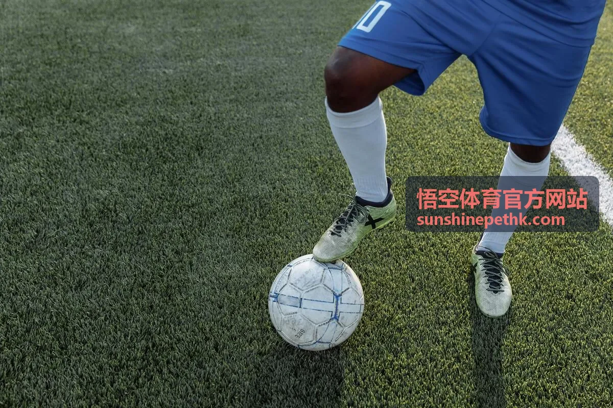 悟空体育官方网站训练课程服务介绍